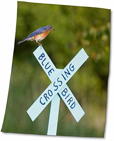 3drose Eastern Bluebird на знакот за преминување на Bluebird, Мерион, Илиноис, САД. - крпи