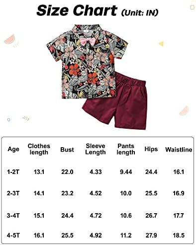 Облека за облека за момче од CareToo 3 12months-5t, бебе летни облеки Хавајски кратки ракави Обична облека за момчиња