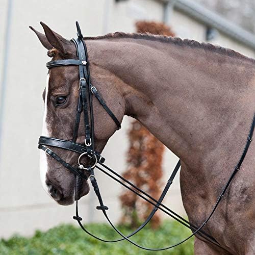 Хорзе 10' Прилагодлива Еластична Носилка За Вратот | Помош За Обука За Коњи