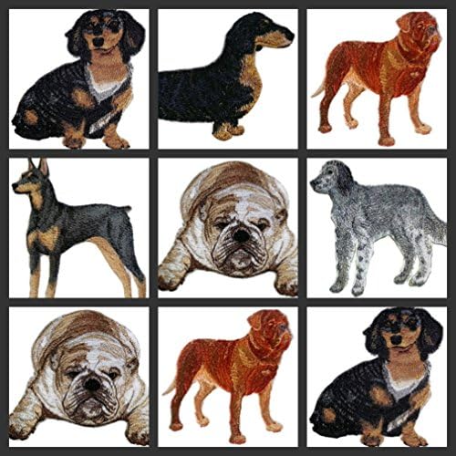 Неверојатни портрети за кучиња [Француски булдог] Везење железо на/шие лепенка [4,5 x 4] [направено во САД]