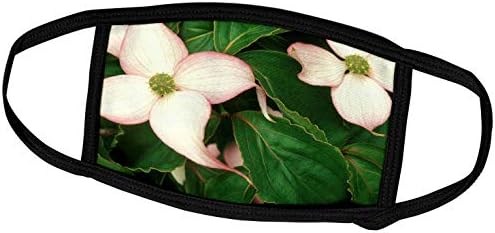 3дроза Цвеќиња Од Фиренца-Убава Нежна Светло Розова Дренка.јпг-Маски За Лице