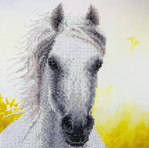 Дијамантска уметност со рекреативни уметности комплети за сликање дијаманти за возрасни 12x12 Средно бел коњ