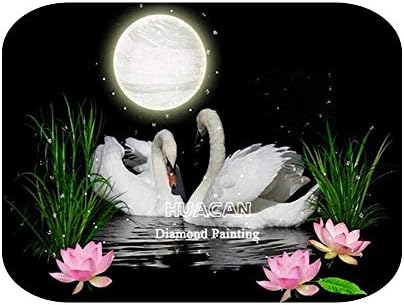 DIY дијамантски сликарство лебед дома декорација Мозаик животинска фарма дома Декорација Рачно изработен подарок-AP1-5443-45x60см