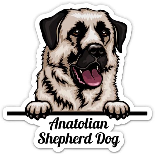 Налепница за кучиња од Анатолија Шепард - налепница за лаптоп 3 - водоотпорен винил за автомобил, телефон, шише со вода - пастир за пастир