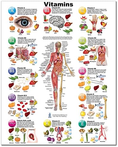 Витамини И Анатомија Таблата Со Исечоци
