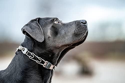 Херм Сперенгер за обука на кучиња, јака со брзо ослободување, кликлок тока и вртежен прстен | Прилагодлива јака од не'рѓосувачки