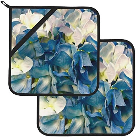 Hydrangea сина бела цвет цвет цветница на растенија за постројки за кујни кујнски отпорни на кујнски комплети 2 парчиња топлинска мат 8 × 8 инчи