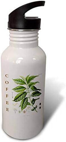 3drose кафе фабрика кујна уметност гурмански кофеин грав ботаничко дрво. - шишиња со вода