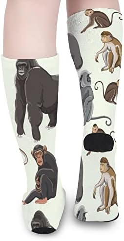 ПЛЕВЕЛКЕЈАТ Различни Видови Мајмуни Екипаж Чорапи Новина Смешни Печати Графички Повик Умерена Дебелина За Пролет Aut &Засилувач; Зима