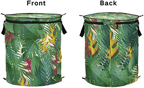 Тропски палми остава да се појават алишта за алишта со патент за патент, корпа за перење, со рачки што може да се сруши за складирање