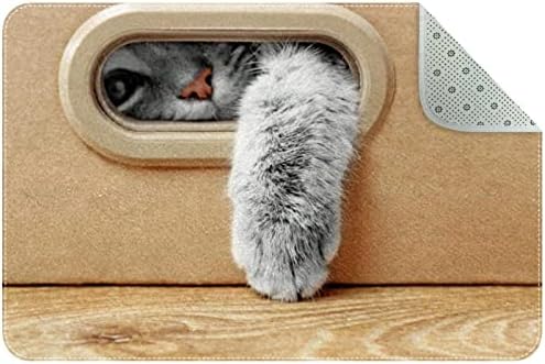 Симпатична мачка во кутија килим со мала површина, 16 x 24 мека килим за миење на спална соба за дневна соба за дневна соба, расадник,
