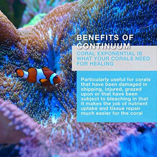 Континуум Акватика Корал Експоненцијален - Комплекс за раст на корали и комплекс на аминокиселини за живи корали и аквариуми на гребени