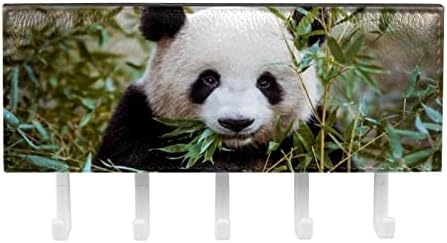 Laiyuhua Шарени лепливи куки со 5 куки и 1 оддел за складирање, совршен за вашиот влез, кујна, спална панда животно