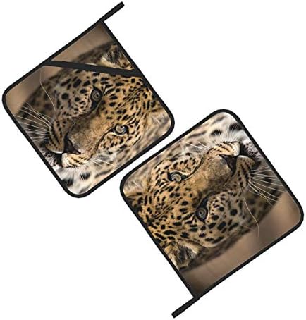 Леопард блиску до животински мобилен x топла подлога отпорна на топлина Полтер 2 парчиња држачи за тенџере за отпорна на кујна отпорна