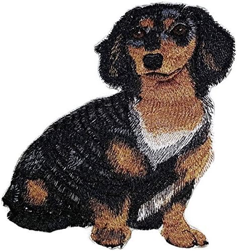 Неверојатни портрети за кучиња [Dachshund Longhair] Везење Ironелезо на/шие лепенка [6 x 5] [направено во САД]