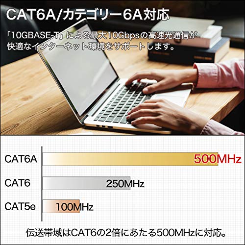 ХОЛИК ЛАН КАБЕЛ СОВЕТ Категорија 6А 32.8 стапки, Црна LC100-582RB