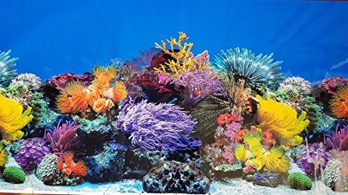 Карен ниско ново !! 23 инчи висина аквариум позадина корали и свежи води украси на џунгла x 23 )