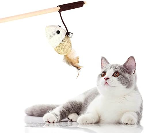 Може ли кучиња да играат мачки играчки задевачки мачки стапчиња пердуви сузуки задевајќи мачка стап дрвена стап вкочанета глувче мачка