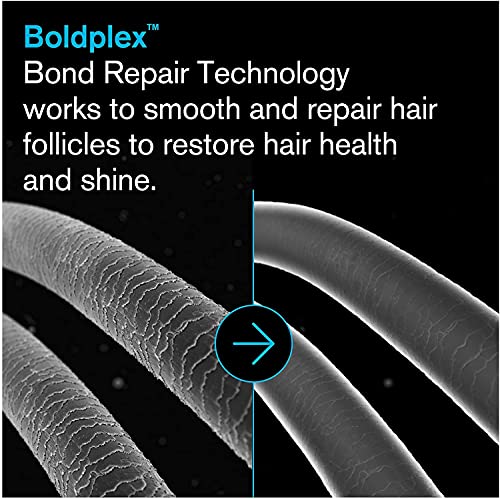 Boldplex 5 Кондиционер на протеини за зајакнување на врската за суво оштетена коса - хидрантна формула за кадрави, суви, обоени, замрзнати,