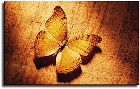 Јодалиј уметност wallидна уметност сликарство со рамка за декоративно сликарство дневна соба пеперутка постер платна платно печатење куадрос