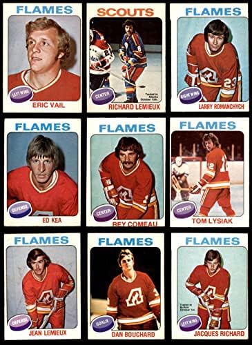 1975-76 О-пи-чин Калгари Флејм во близина на екипата постави Атланта Флејс ГД+ пламен