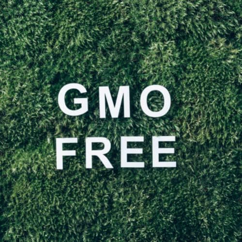 Мистични моменти | Есенцијално масло од кедарлеф 500g - чисто и природно масло за дифузери, ароматерапија и масажа мешавини вегански ГМО бесплатно