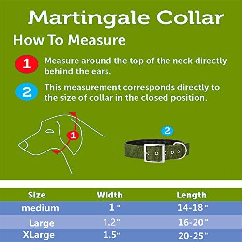 Fragralley прилагодлива метална тока јака за кучиња за средни големи кучиња Xlarge, класична цврста боја цврста најлон јака, вратот 14 -25, поставени широки јаки за домашни ми