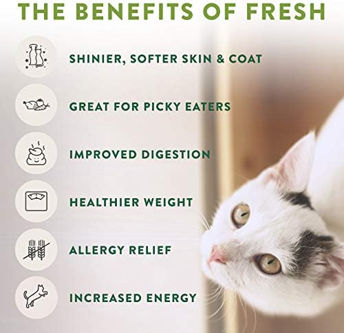 Freshpet Здрава &засилувач; Природна Храна За Мачки, Свежо Пилешко Рецепт, 1lb