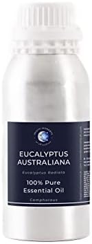 Мистични моменти | Eucalyptus Austraiana Essualiana 500g - чисто и природно масло за дифузери, ароматерапија и мешавина од масажа веган ГМО