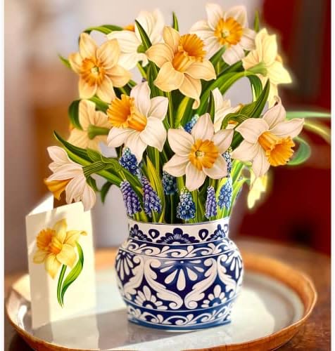Freshcut Pop Up Cards, Murillo Tulips + англиски дафодили, сет од две 12 инчи животни со големина засекогаш цвет, пукајте букети 3Д скокачки