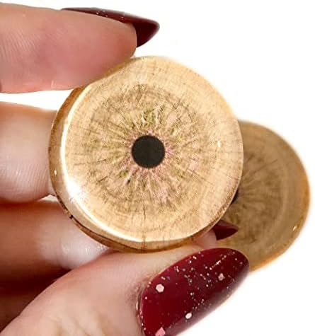 Дрво прстени стакло око кабохони за приврзоци што прават жица завиткани накит занаетчиски таксидермија или скулптури