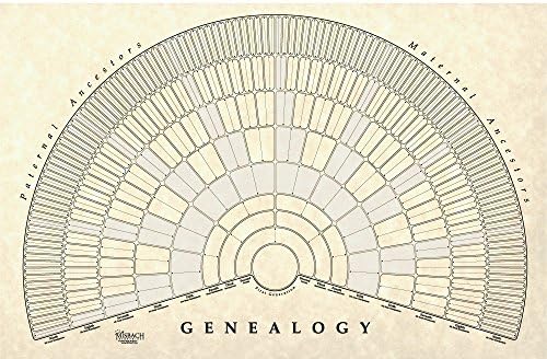 Treeseek Генеалогија Фан Ѕид Шема | Голем Празно Пополнување Педигре Форма За Семејна Историја и Потекло 2pk