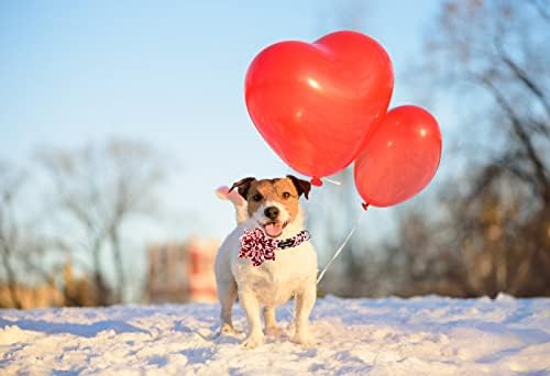 МАКА Бејтс Јака За Кучиња За Денот На Вљубените Со машна/Цвет/машна, Јака За Прилагодување На Слаткото Срце За Мало Средно Големо Куче