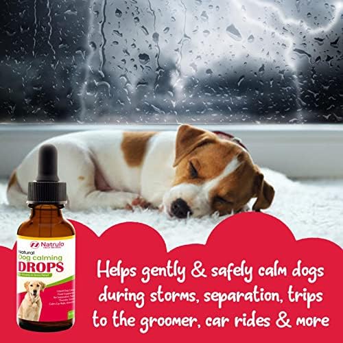 Капки за смирување на природни кучиња за анксиозност и олеснување на стресот - Додаток за мирна храна со течно куче за раздвојување, патување, грмотевици, невреме, м