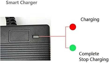 Powertech Добавувач 3 AMP Smart Charger компатибилен со RAD Power Radmini чекор-чекор 2 и Radmini 4 & Mini 4 Преклопен електричен