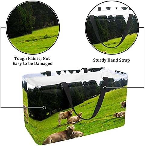 Крагите од 50L купувачи крави се одморат на тревата ливада што може да се склопи во кутијата за намирници на намирници со рачки,