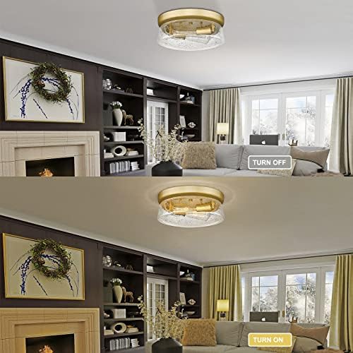 Hopejoy Gold Flush Mount Teailing Light, 12-инчен 2-светло модерно засадено стакло светло за светло, близу до тавански светлосни тела во