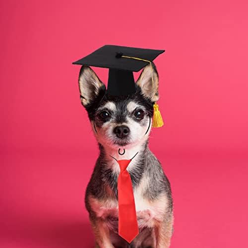 Алипис Ноќта на вештерките декор куче капа за дипломирање кучиња Дипломирање костум сет за домашно милениче за дипломирање костум лак