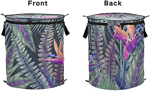Тропски палми лисја се појавуваат алишта за перење со патент за патент, корпа за перење со рачки со рачки што може да се сруши за складирање