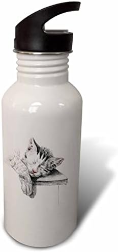 3drose Слика на гроздобер цртеж на сива и бела мачка за спиење - шишиња со вода