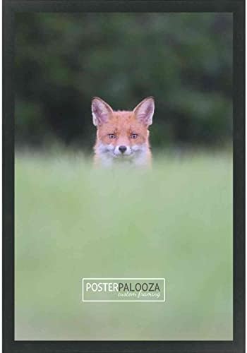 Постер Палооза 14x20 Современа рамка за слика на црно дрво - УВ акрилик, поддршка од табла за пена и вклучен хардвер за виси!