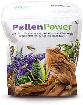 Bio Dude Pollen Power 4 Oz - Premium Bee Poleen додаток - Одличен за брада змејови, желки и други тревопасни животни/сештојади