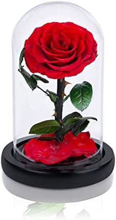 Рачно изработени Зачувани Рози Во Стаклена Купола Подароци За Денот На Вљубените За Неа, Жолти Вистински Рози Кои Траат Повеќе