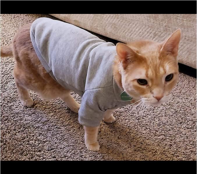 2 пакети џемпери за миленичиња мачки за мачки - кошули со мачки без влакна облека за миленичиња - облека со маички за миленичиња со