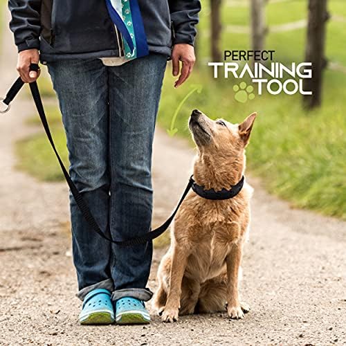 Рам-Про Јака За Обука На Кучиња Голема Јака За Кучиња Тројна Круна Про Тренинг Јака Голема Нежна Ефикасна Контрола Во Јака За Кучиња