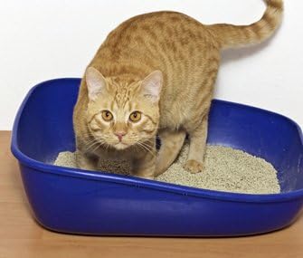 Поддршка за поддршка на уринарниот тракт на домашни миленици - Поддршка за врвна уринарна тракт - Третмани со мачки - природни и здрави - уринарна