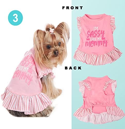 Vlony 4 парчиња кучиња фустан кучиња сандерс печатена кошула за кучиња со облека за фустанчиња за кучиња за мали кучиња девојче лето