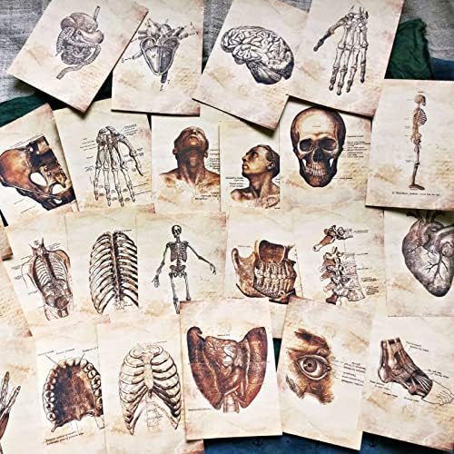 Виликија скелет декорак хартија за хартија за ѓубре, 55 парчиња темна академија декор за комплет за wallидни колаж, гранџ естетска