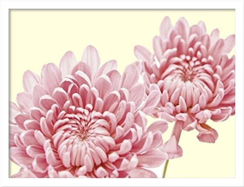 K-Art.Japan AM-74036 сликарство за внатрешна уметност Fosey George W850XH650XD15MM сликарство „Chrysanthemum во Блум“