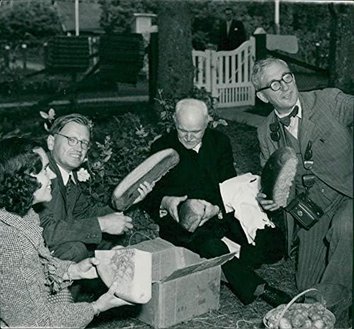 Гроздобер фотографија на Ингегерд Сандберг, Арнолд Сандберг и Нилс Болин дистрибуираат леб